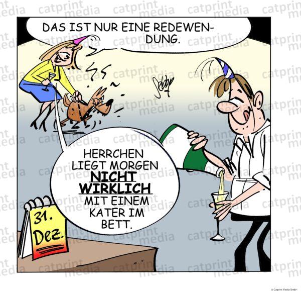 2205_silvester