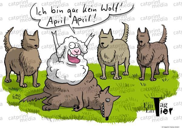 Aprilscherz-Schaf-HD