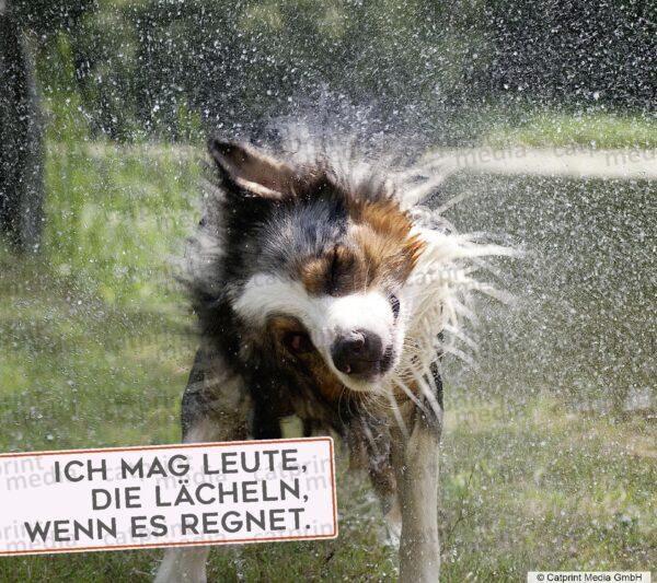Aufstellbuch_Hundefreunde_Seite_117