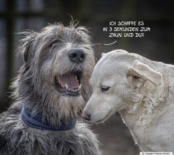 Aufstellbuch_Hundefreunde_Seite_141