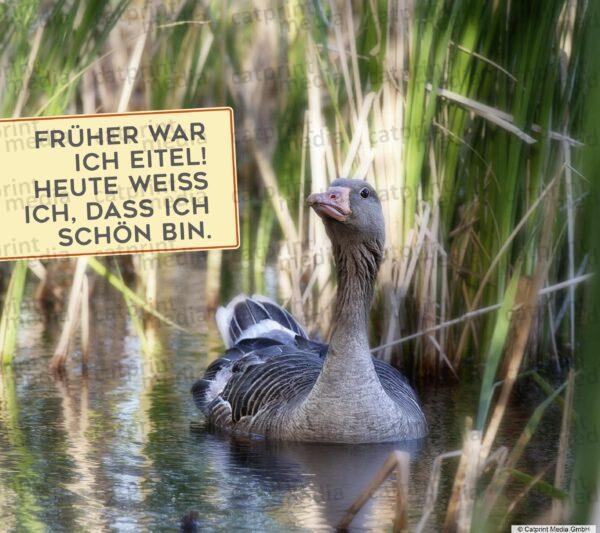 Aufstellbuch_Tierfreunde_Inh_A013__20_