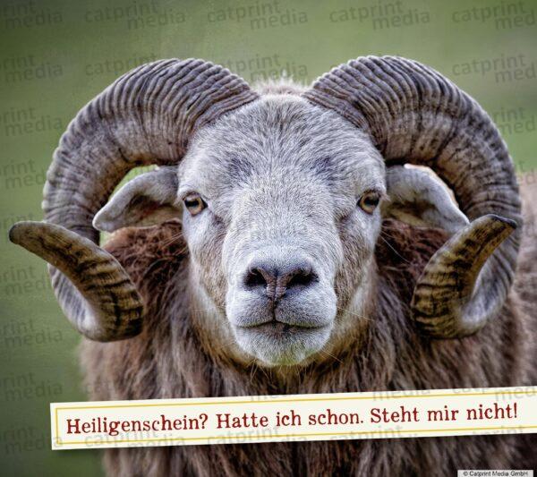 Aufstellbuch_Tierfreunde_Inh_A013__21_