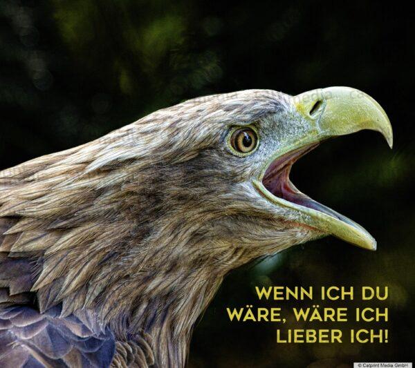 Aufstellbuch_Tierfreunde_Inh_A013__28_