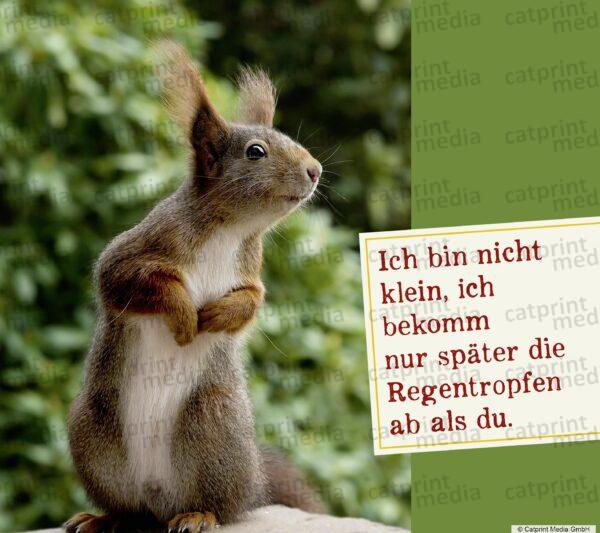 Aufstellbuch_Tierfreunde_Inh_A013__2_