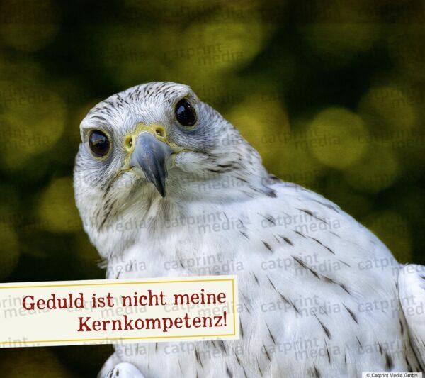 Aufstellbuch_Tierfreunde_Inh_A013__48_