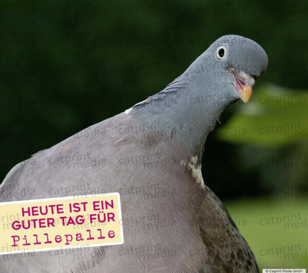 Aufstellbuch_Tierfreunde_Inh_A013__52_