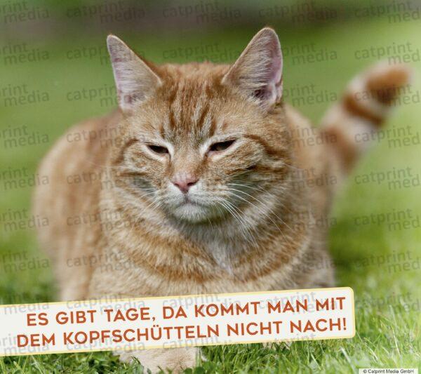Aufstellbuch_Tierfreunde_Inh_A013__83_