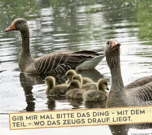 Aufstellbuch_Tierfreunde_Inh_A013__89_