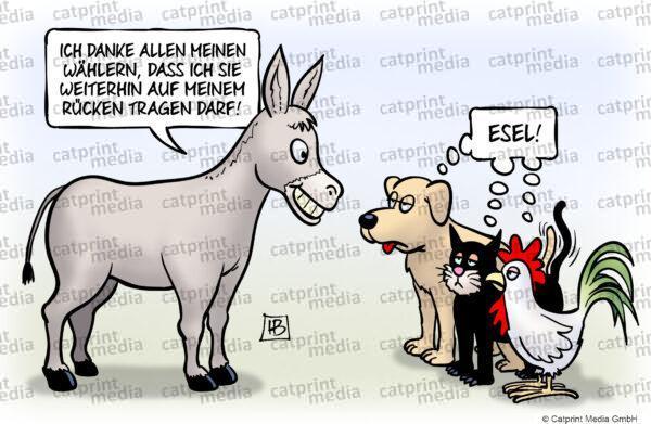 Esel-FARBE