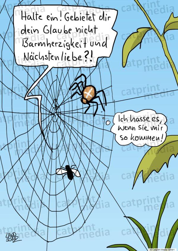 Fliegen-Spinne-Glaube