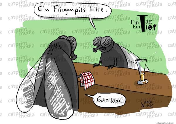 Fliegen-pils-HD