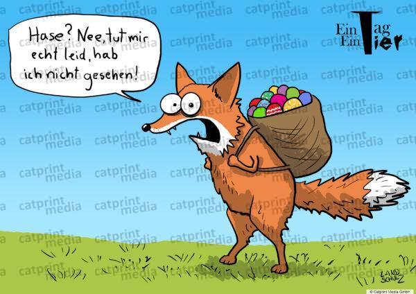 Fuchs-HD