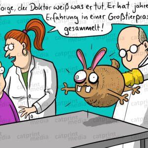 Grosstierpraxis-Kaninchen-HD