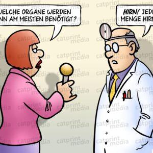 Hirnspende-FARBE