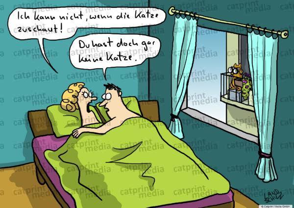 Katzeschaut