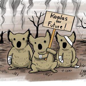 Koalas-for-Future-HD