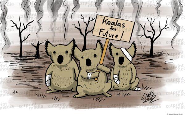 Koalas-for-Future-HD