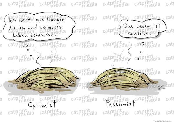 Pessimist-Optimist-HD