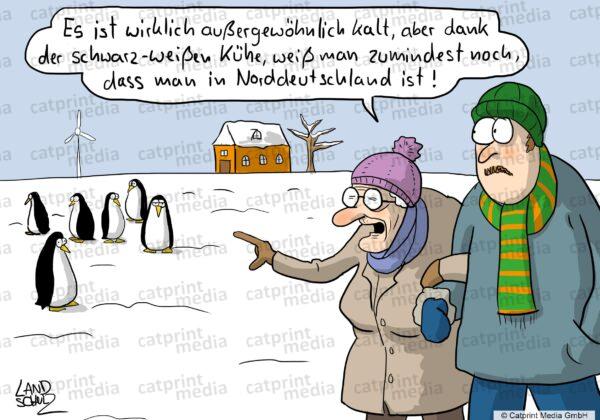 Pinguine-Norddeutschland-HD