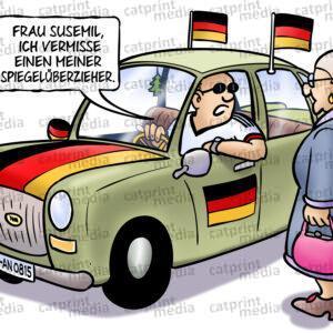 Spiegelueberzieher-FARBE