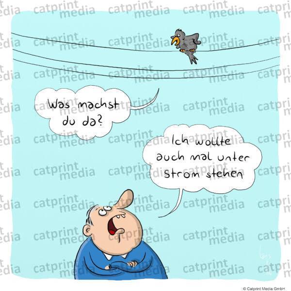 Strom1618