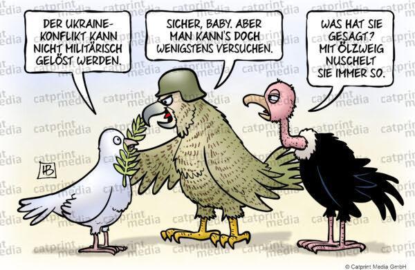 Taube-Falke-Geier-FARBE