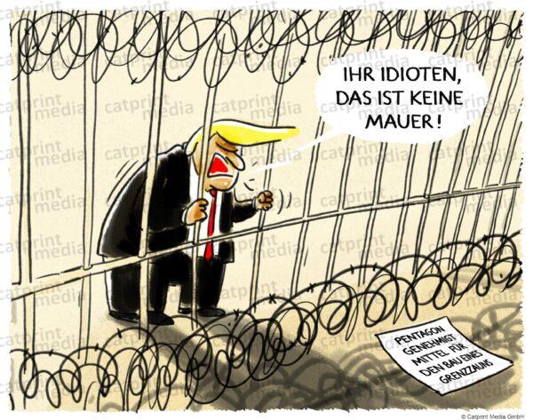Trumps-Zaun_grolik