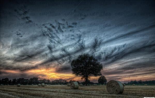 USFotoD3X_9615
