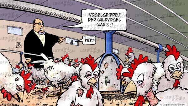 Vogelgrippe-FARBE