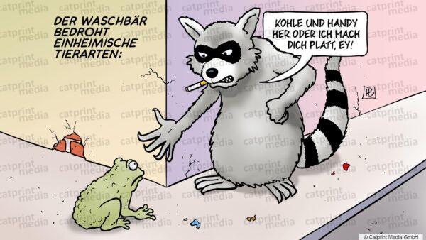 Waschbaer-FARBE