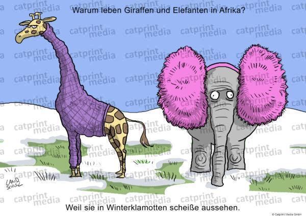 Winter-Tiere-Afrika-HD