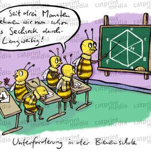 bienenschule