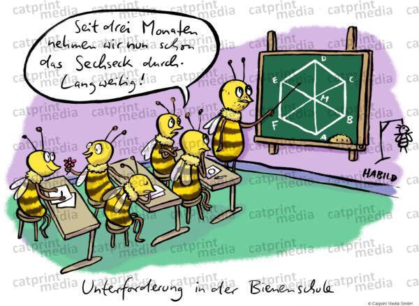 bienenschule
