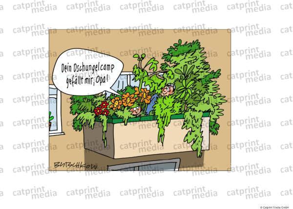 dschungelcamp~2