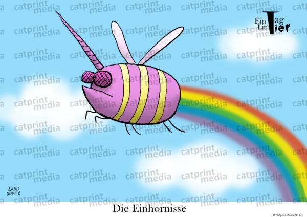 einhornisse