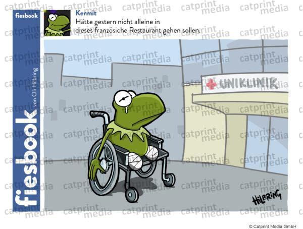 fb_Kermit