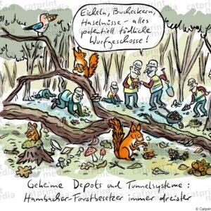 hambach
