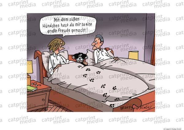 hund_im_bett
