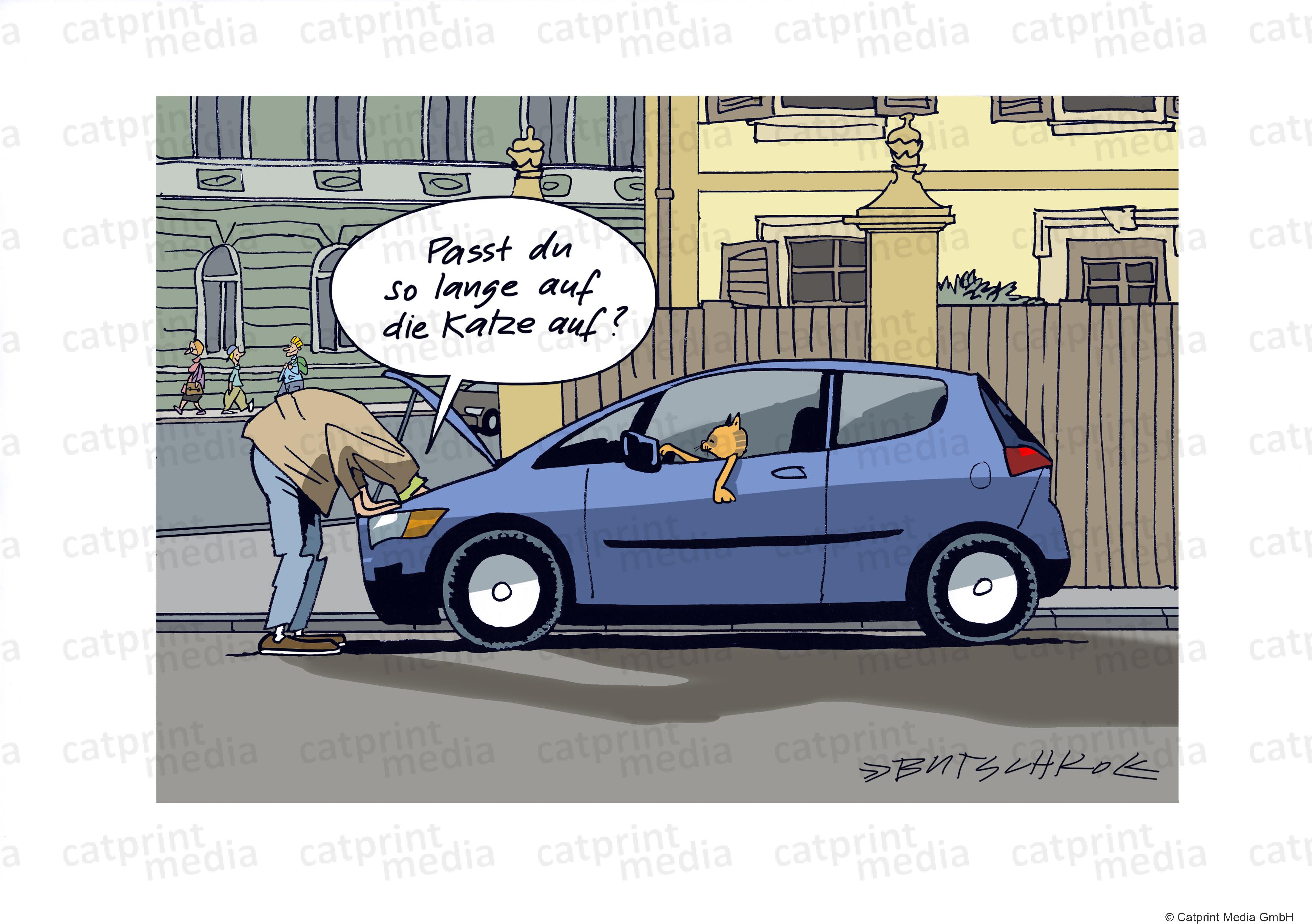  katze_am_steuer - Catprint Media GmbH Bildidee 