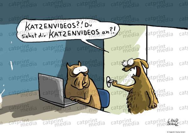 katzenvideos