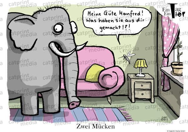 muecke-elefant-gross