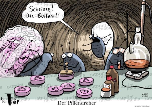 pillendreher~1