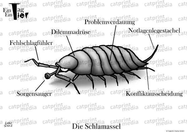 schlamassel