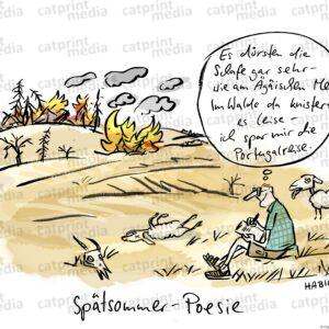 spa_tsommer
