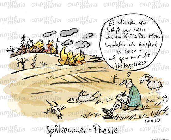 spa_tsommer