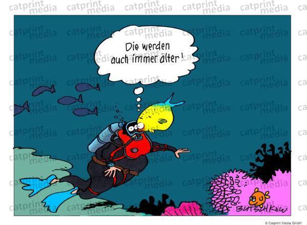 taucher