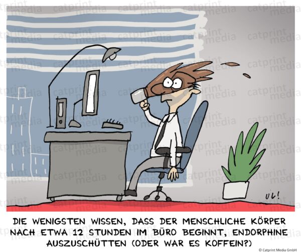 Endorphine-Buero2