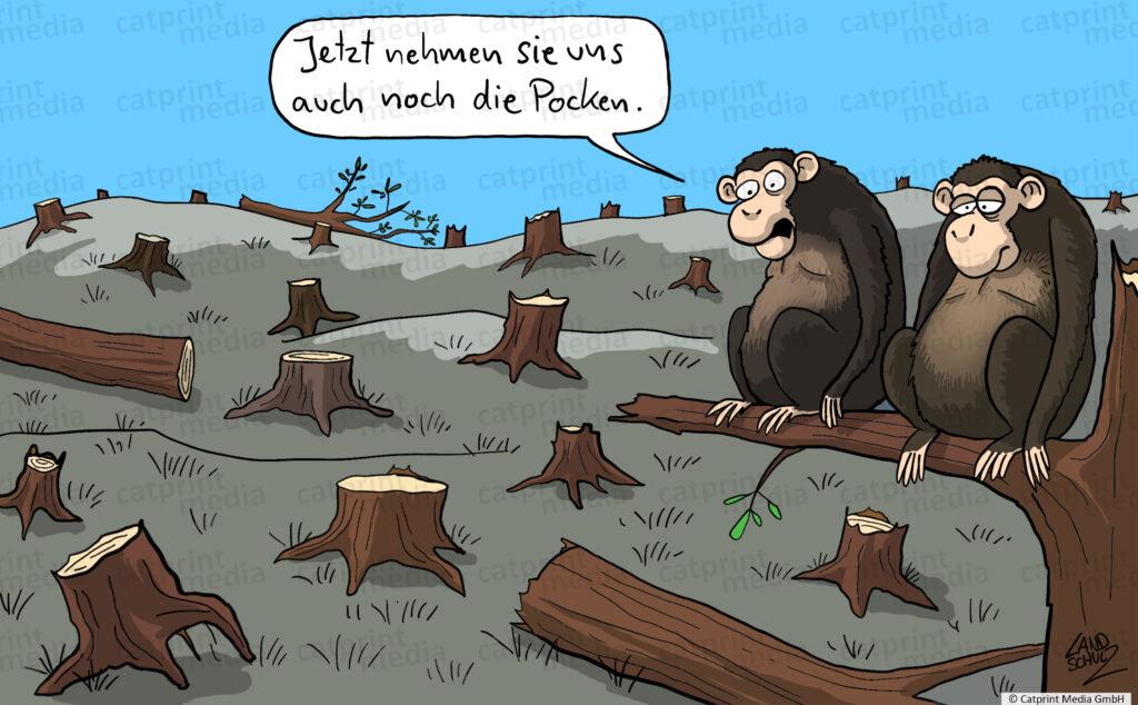 Pocken Catprint Media GmbH