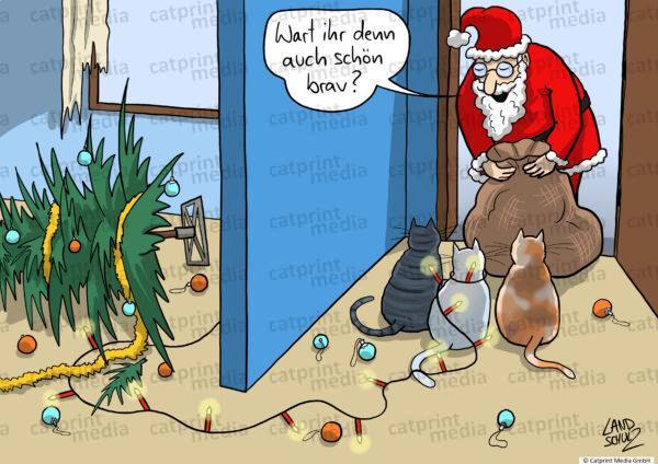 Weihnachtsmann-Katzen-brav