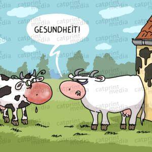 Gesundheit
